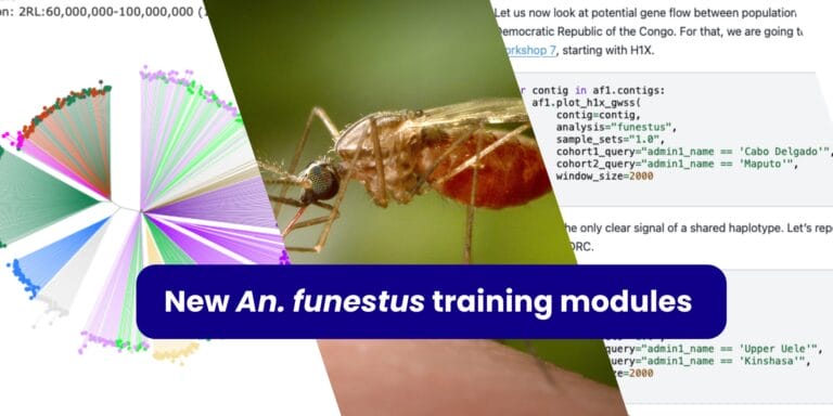 A collage of two training module pages with a picture of Anopheles funestus, with the words "An. funestus training modules" overlaid on top. A collage of two training module pages with a picture of Anopheles funestus, with the words "An. funestus training modules" overlaid on top.